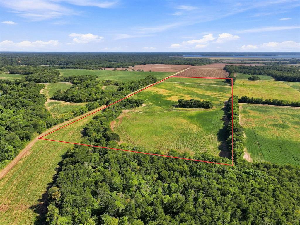 01 County Road 36980 Property Photo 11
