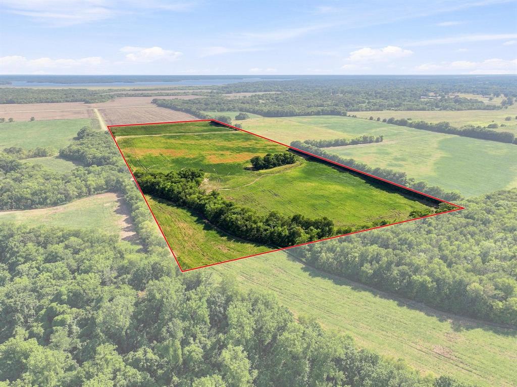 01 County Road 36980 Property Photo 14