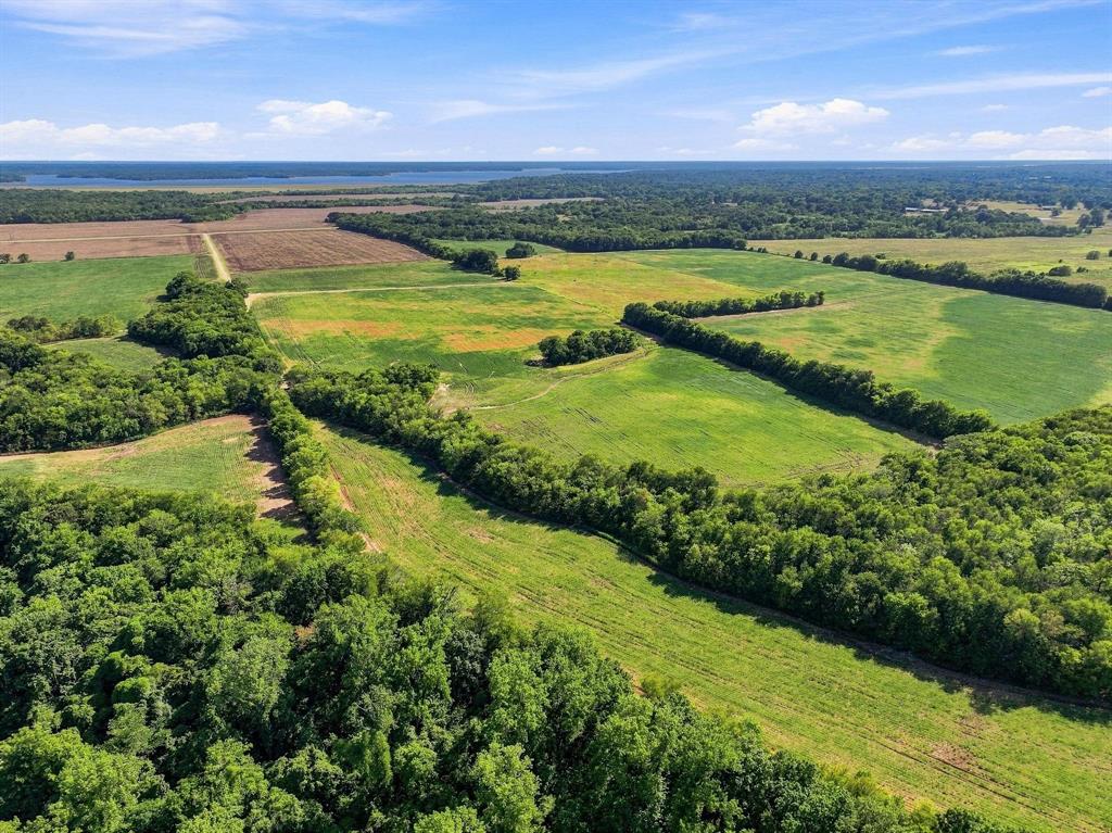 01 County Road 36980 Property Photo 15