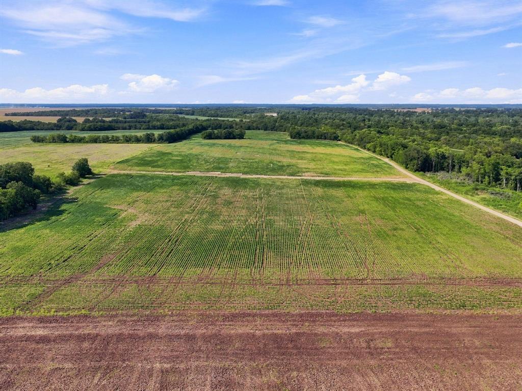 01 County Road 36980 Property Photo 17
