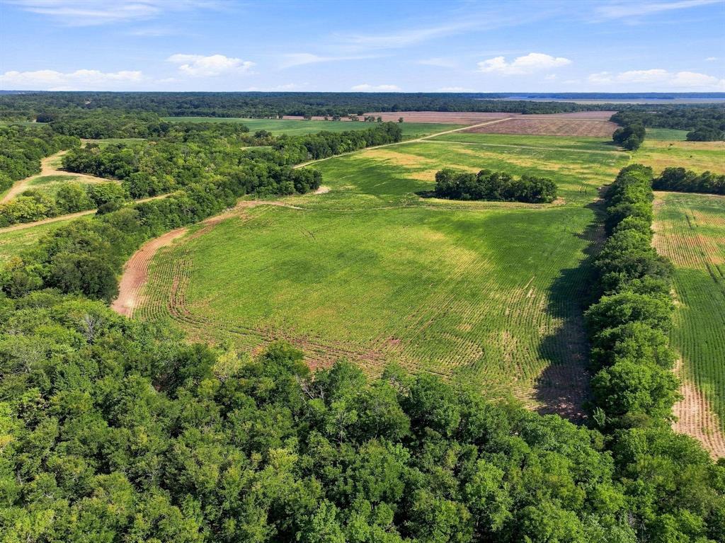 01 County Road 36980 Property Photo 18