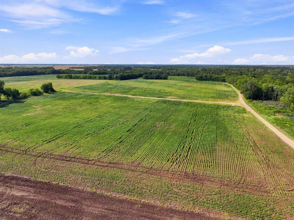 01 County Road 36980 Property Photo 21