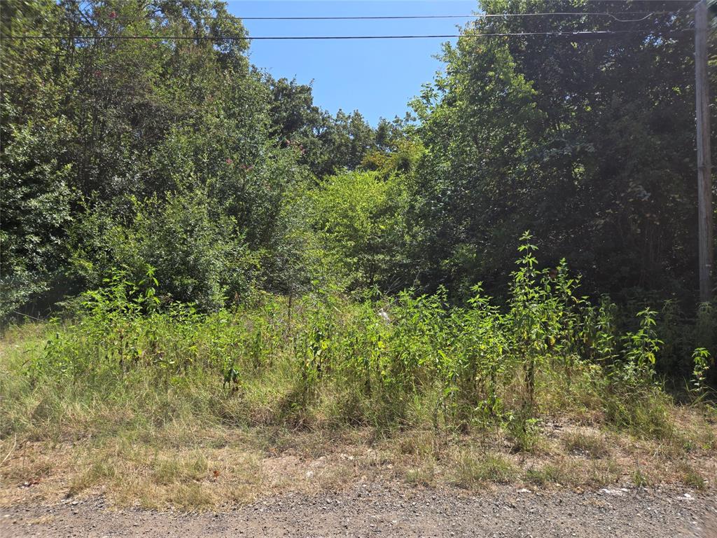 194 Coahoma Property Photo 1