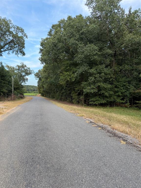 000 Airline Road Property Photo 1