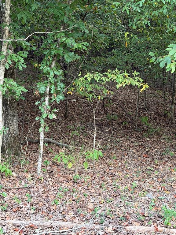 0006 Airline Road Property Photo 3