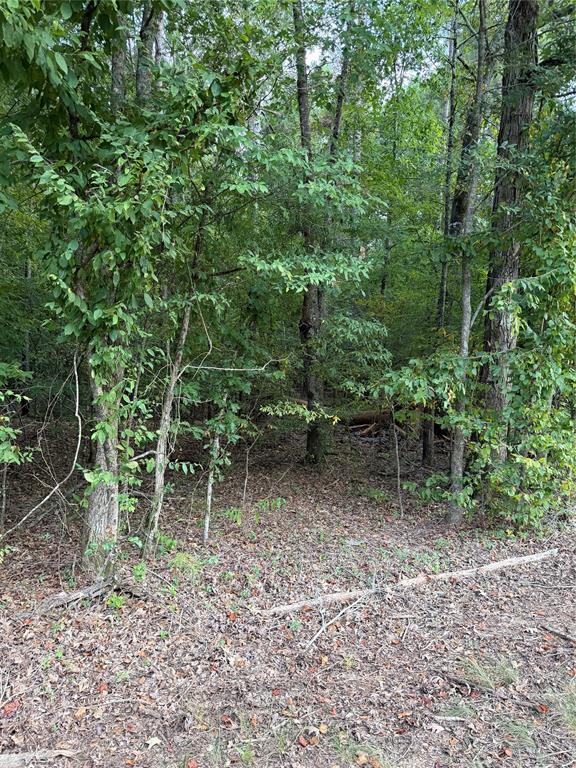 0006 Airline Road Property Photo 4