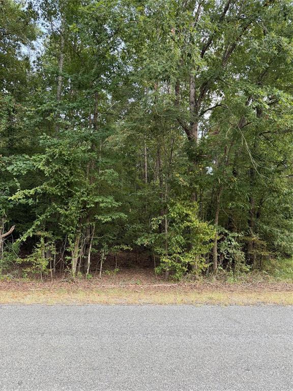 0006 Airline Road Property Photo 5