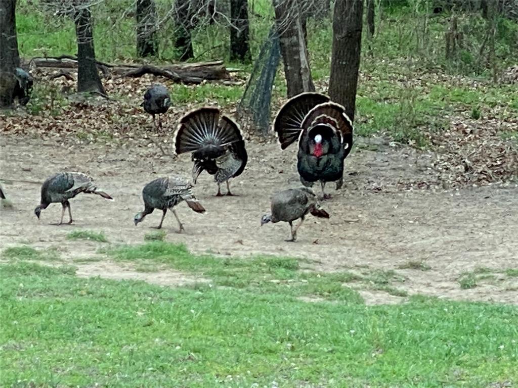 144 Love Trail Court Property Photo 39