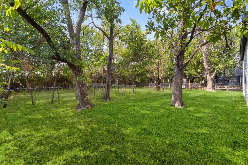333 Levant Avenue Property Photo 26
