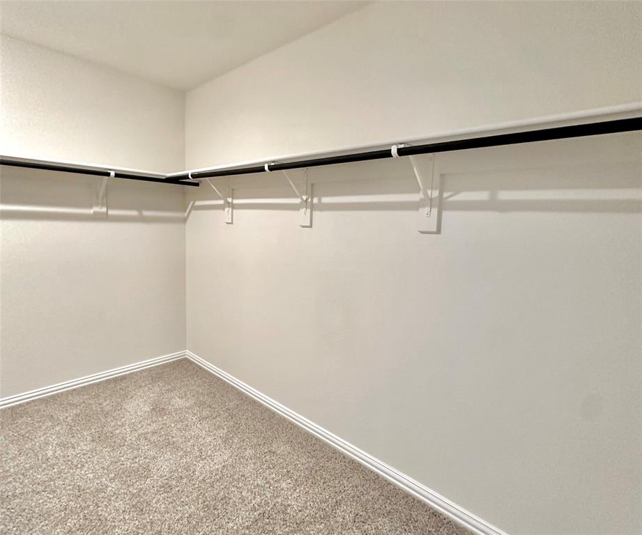 11408 Themis Court Property Photo 16