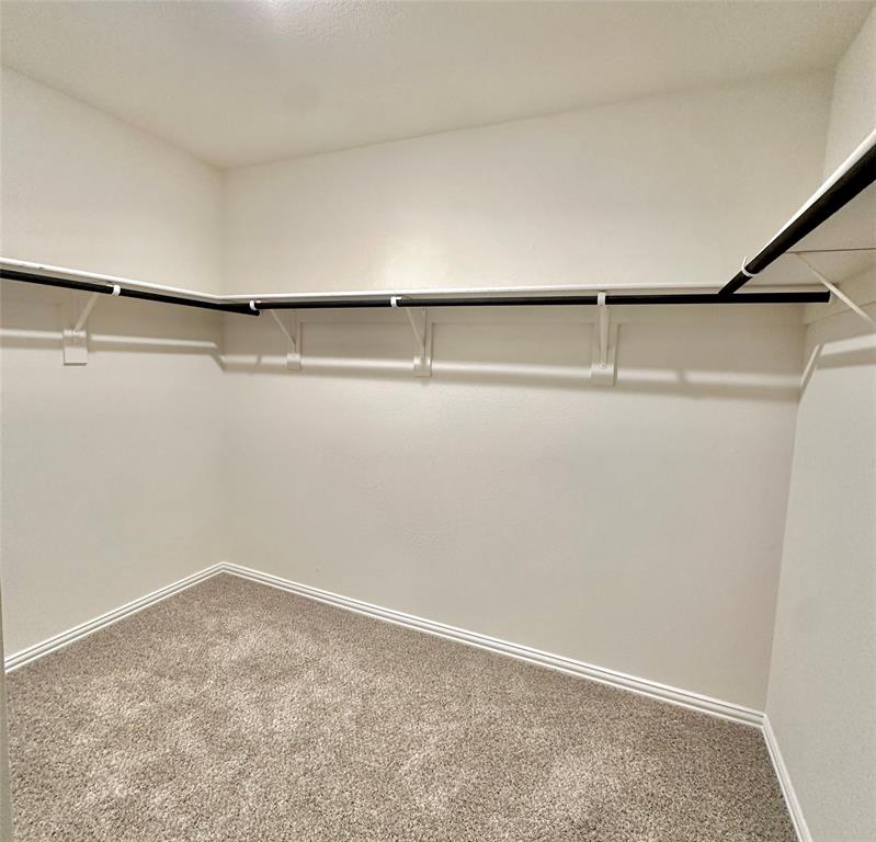 11408 Themis Court Property Photo 17