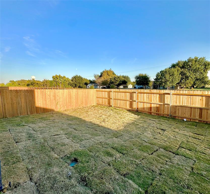 11408 Themis Court Property Photo 19