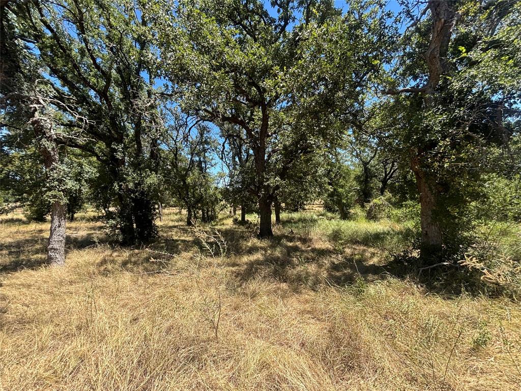 761 County Road 135 Property Photo 2