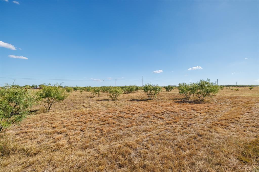 3126 S Fm 707 Property Photo 37