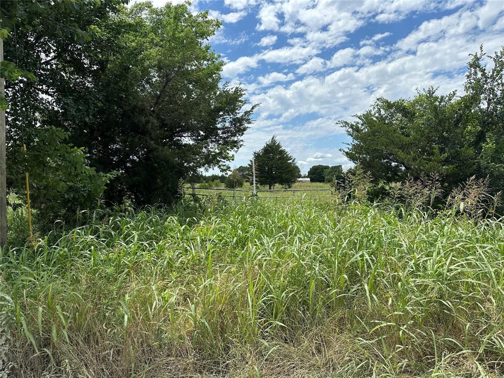 2641 Lemonade Lane Property Photo 3