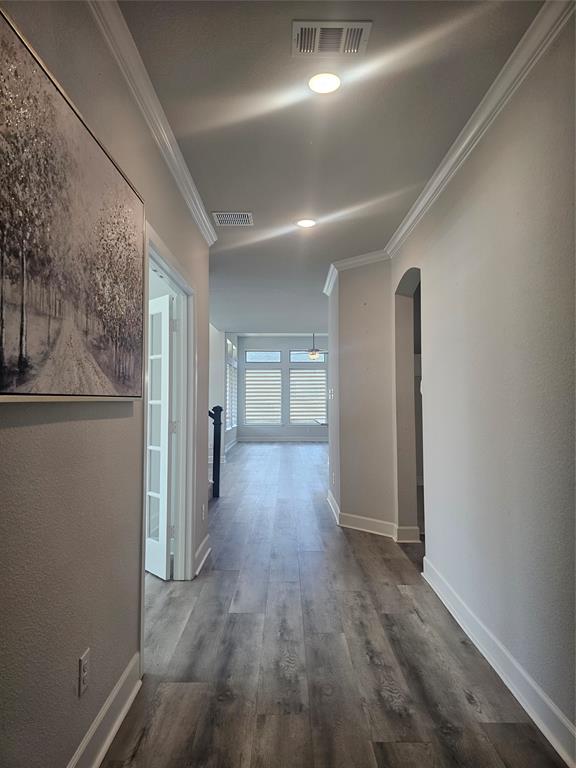 2501 Collier Street Property Photo 7