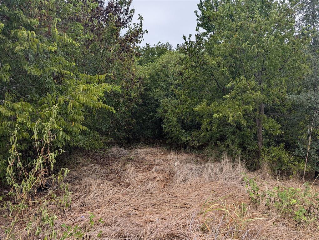 8919 Cartwright Drive Property Photo 4