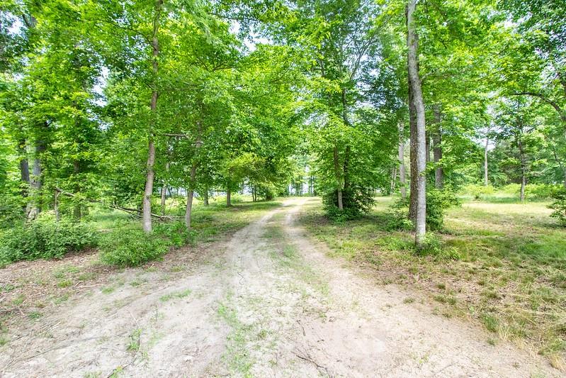 3126 Shadow Pine Drive Property Photo 1