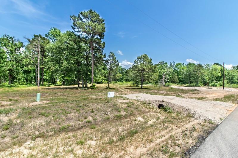 3126 Shadow Pine Drive Property Photo 3