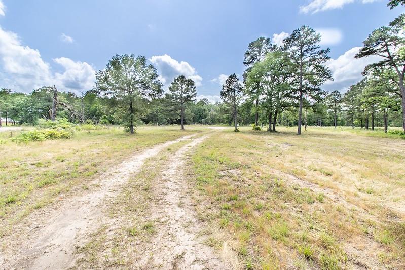 3126 Shadow Pine Drive Property Photo 11