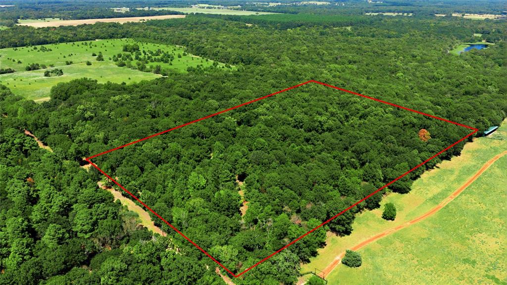 Tbd Cr 3613 Property Photo 1