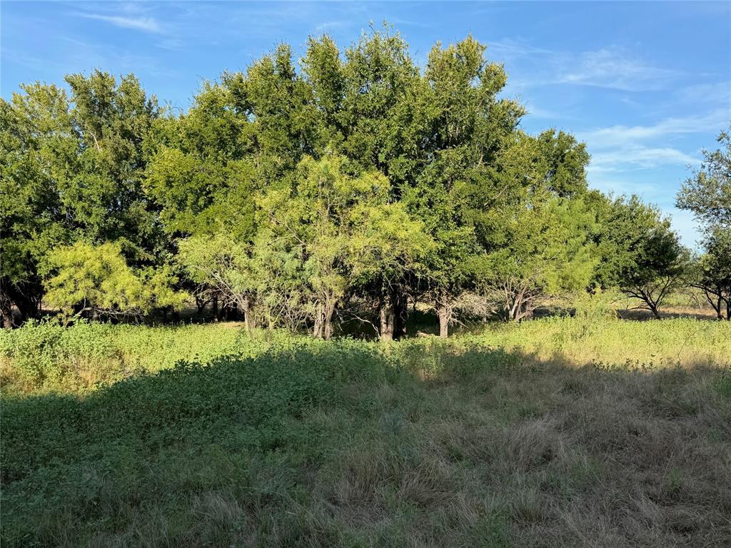 3930 Crestridge Drive Property Photo 8