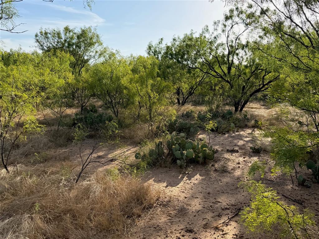 3930 Crestridge Drive Property Photo 13