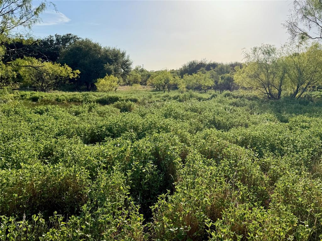 3930 Crestridge Drive Property Photo 16