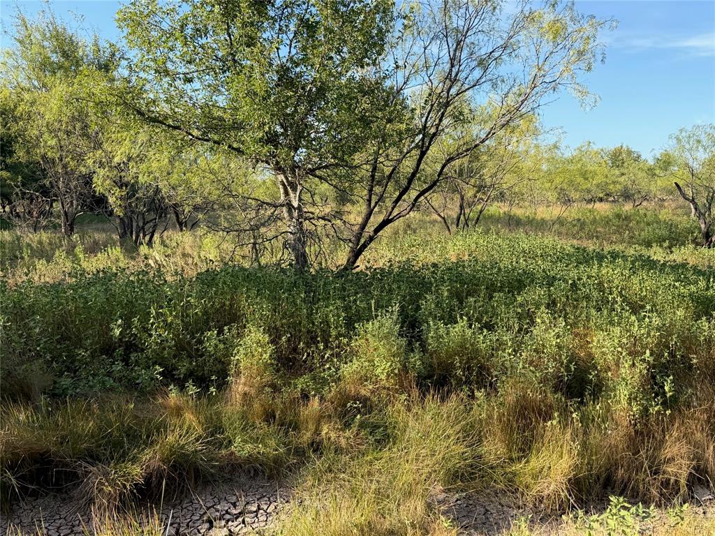 3930 Crestridge Drive Property Photo 18