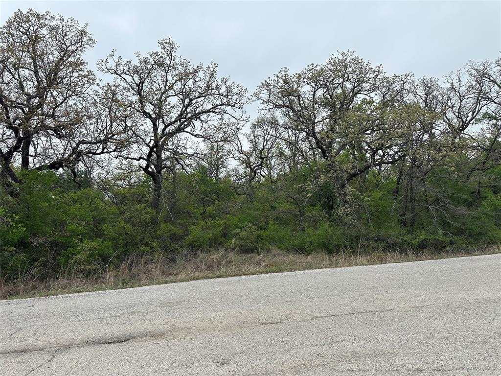 Tbd Jim Walters Drive Property Photo 2