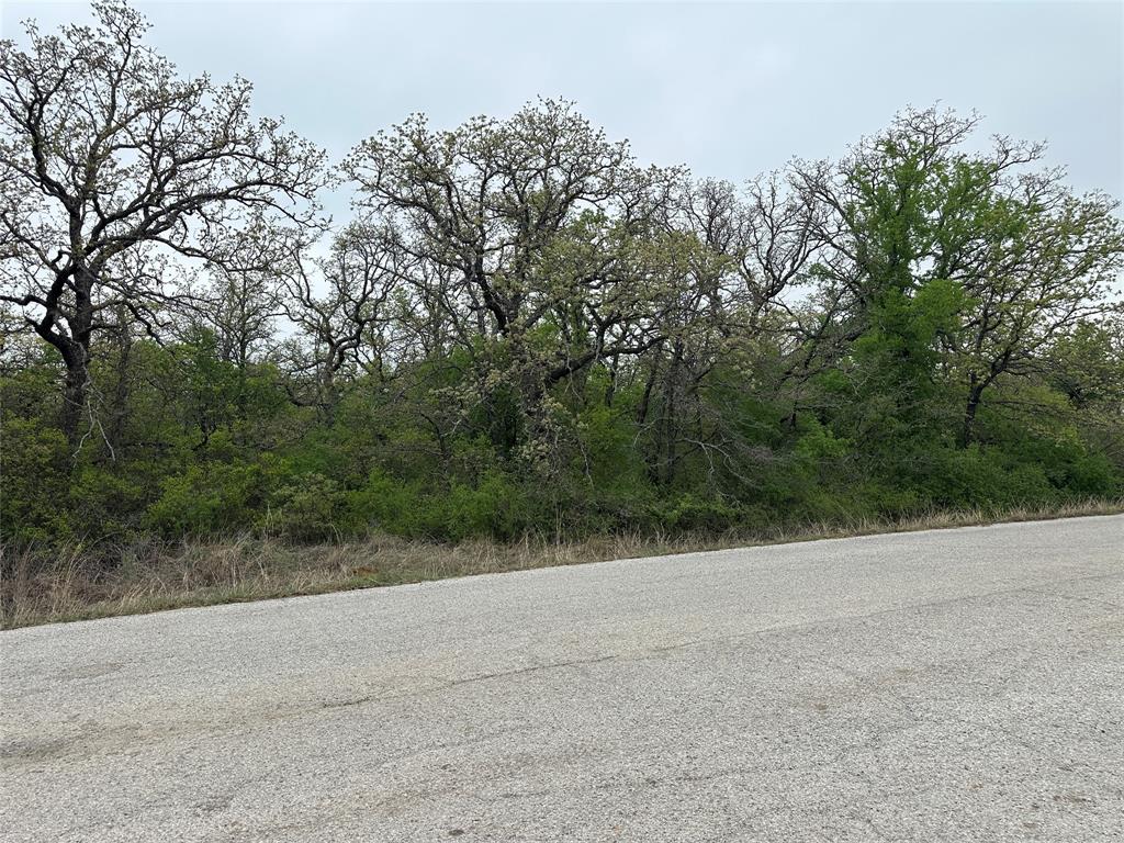 Tbd Jim Walters Drive Property Photo 3