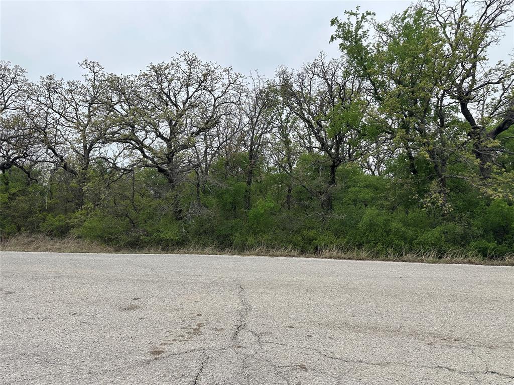 Tbd Jim Walters Drive Property Photo 4