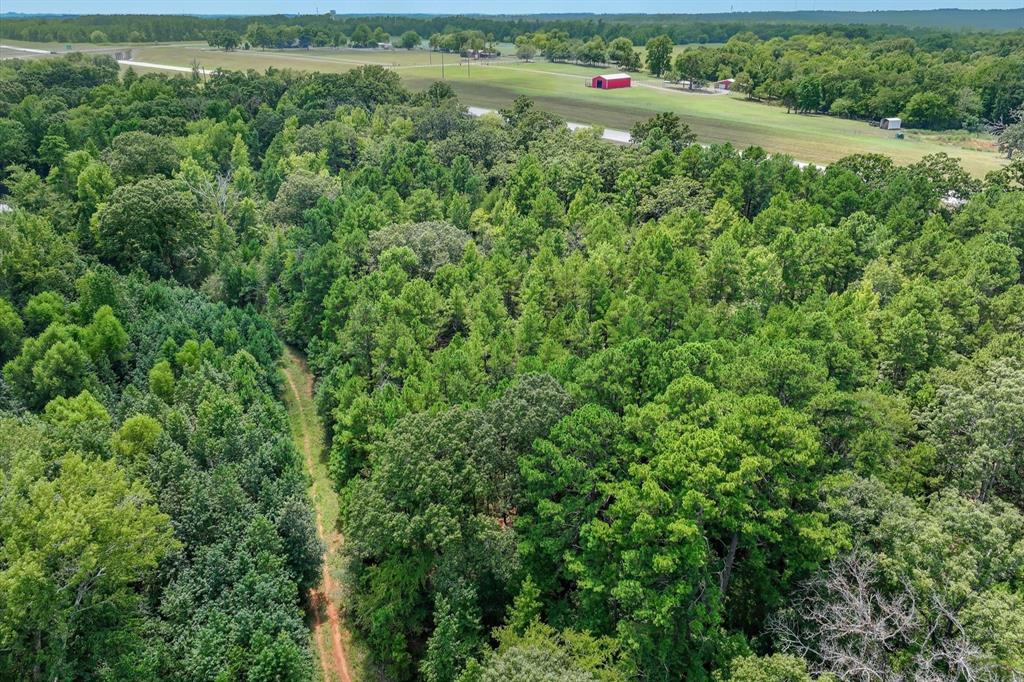 15307 Fm 849 Property Photo 6