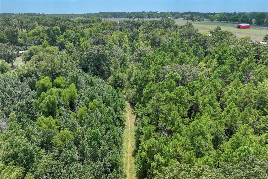 15307 Fm 849 Property Photo 7