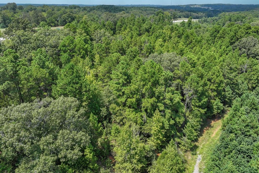 15307 Fm 849 Property Photo 10