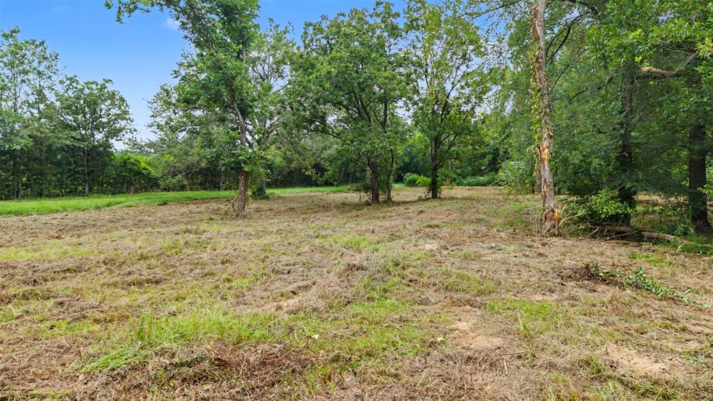 Tbd Hazelwood Dr Property Photo 6