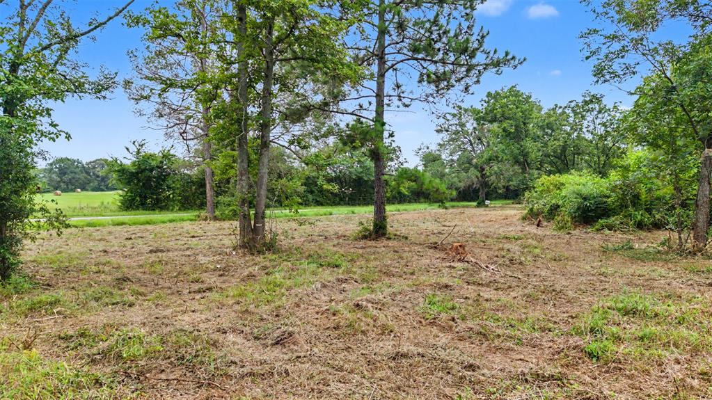 Tbd Hazelwood Dr Property Photo 7