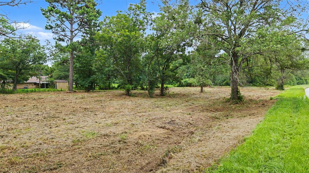 Tbd Hazelwood Dr Property Photo 10
