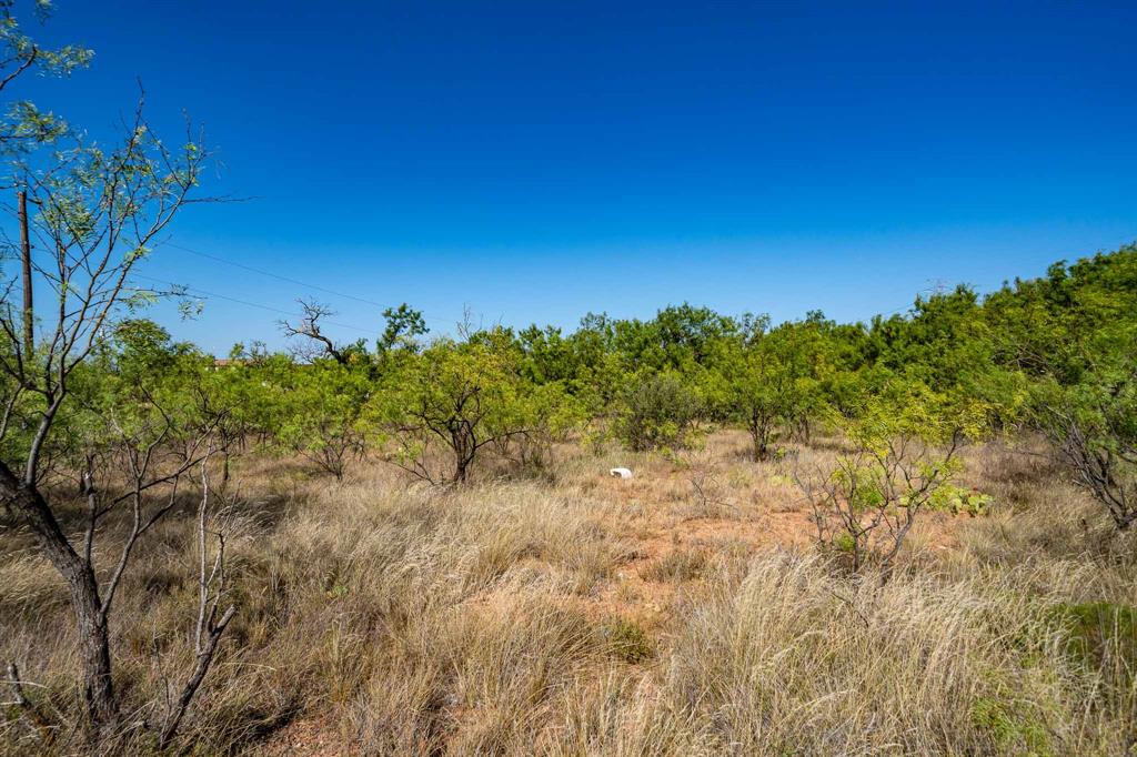 Tbd Fm 3034 Property Photo 2