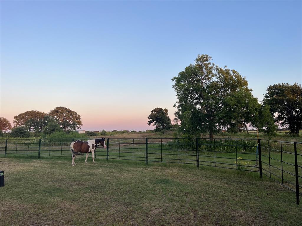 12613 State Highway 36 Property Photo 3