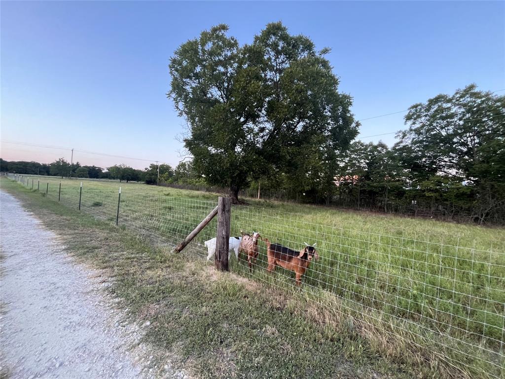 12613 State Highway 36 Property Photo 38