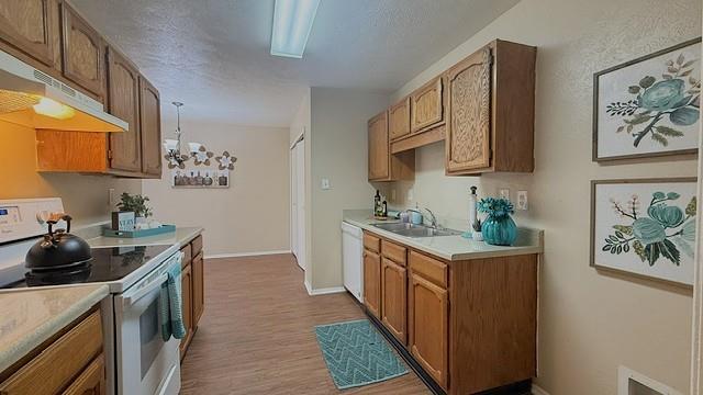 7524 Blue Sage Circle Property Photo 12