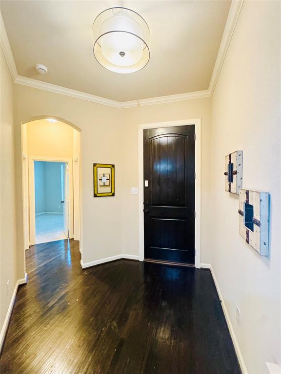 1041 Lone Ivory Trail Property Photo 6