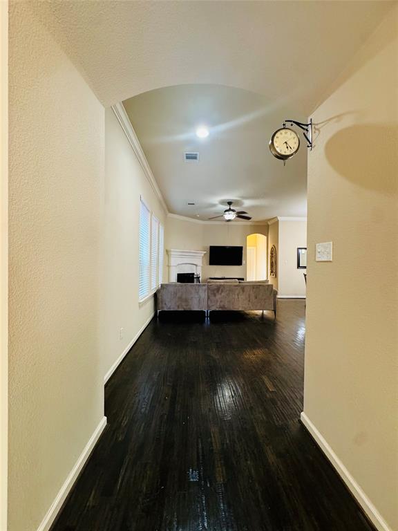 1041 Lone Ivory Trail Property Photo 13