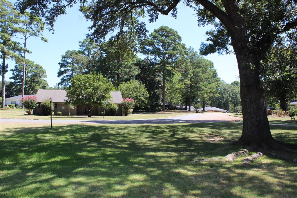 707 Browning Drive Property Photo 2