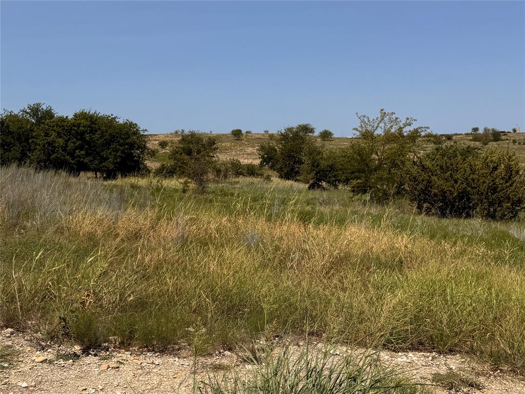 3604 Lucky Pepper Drive Property Photo 2