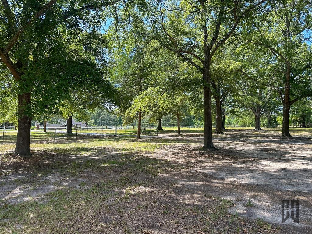 142 Hammontree Road Property Photo 28