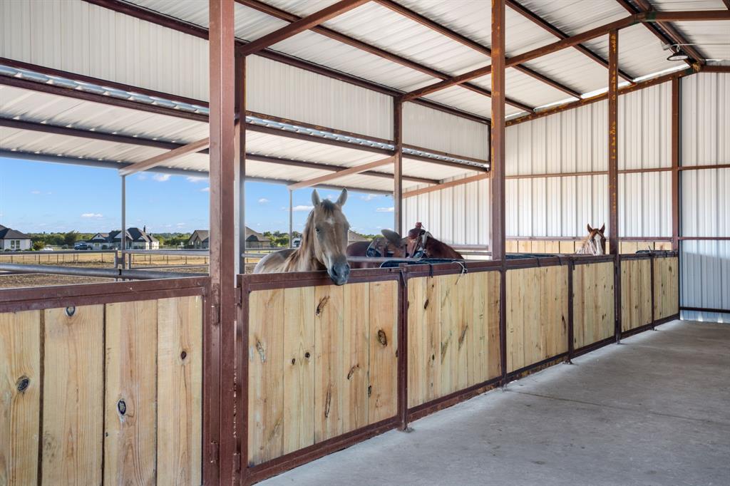 114 Chisos Drive Property Photo 31