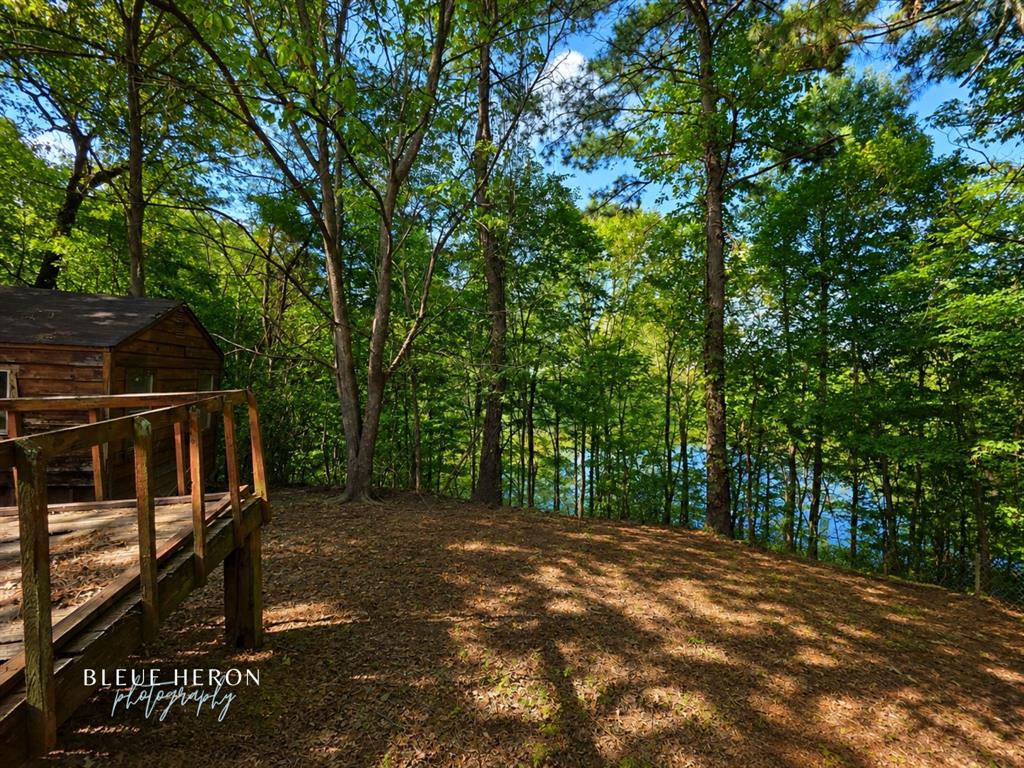 7016 Soda Point Drive Property Photo 16