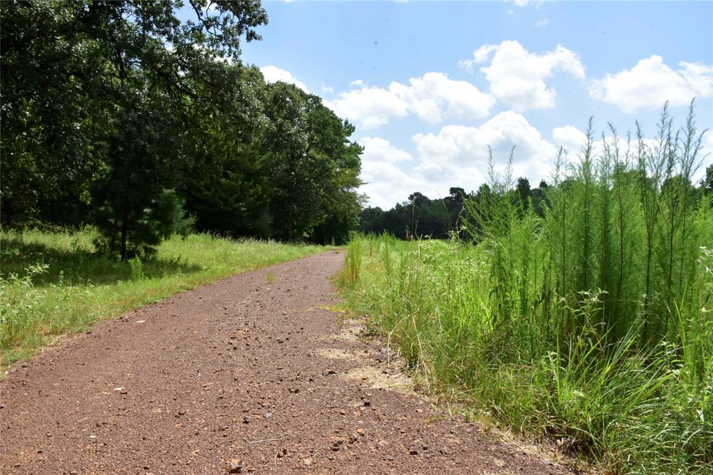 961 County Road 484 Property Photo 5